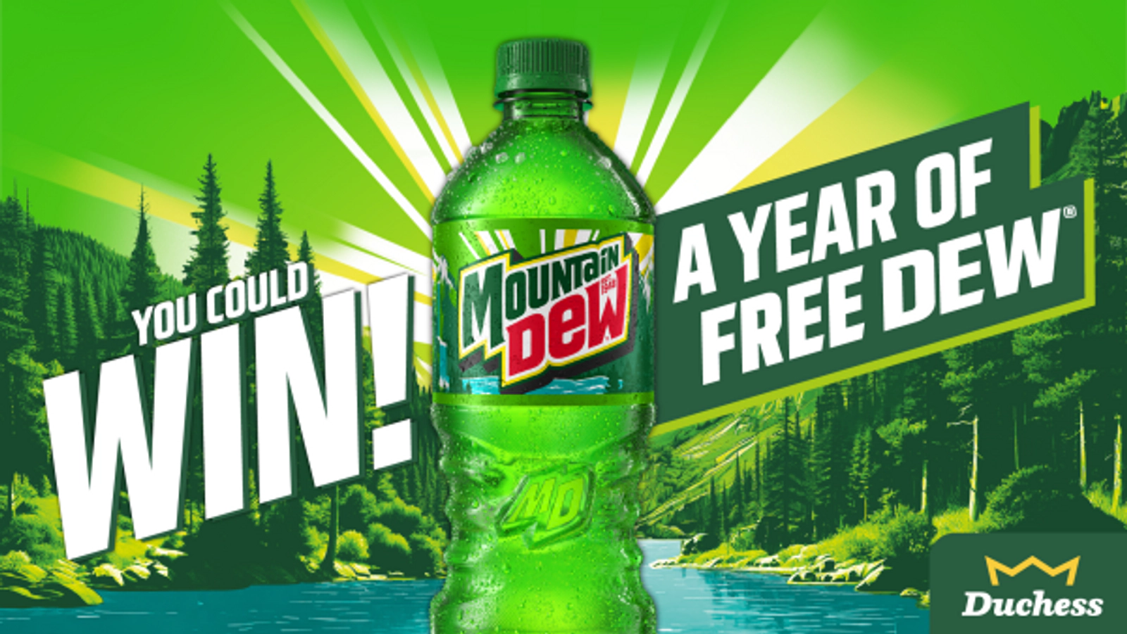 Dew for a Year Duchess