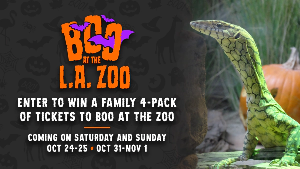Boo at the L.A. Zoo Family 4-Pack Giveaway