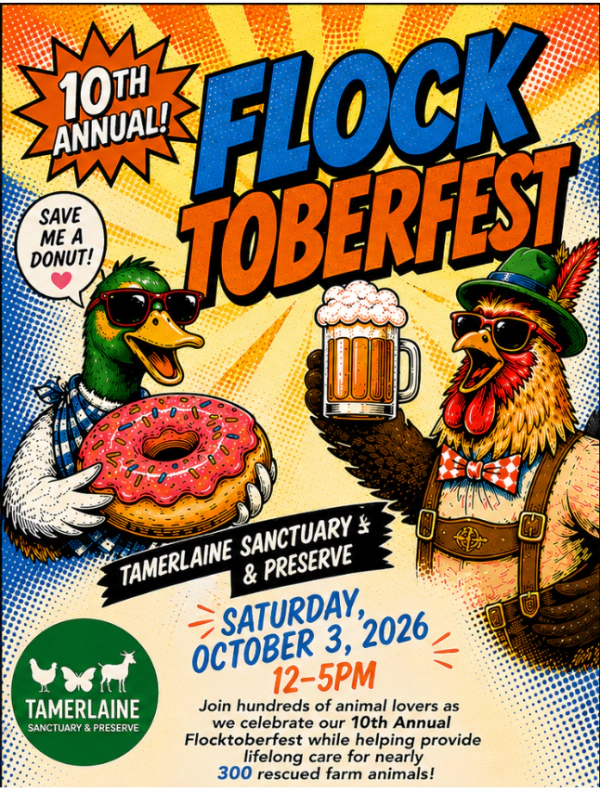 Win tickets to Flocktoberfest at Tamerlaine Sanctuary and Preserve October 3rd