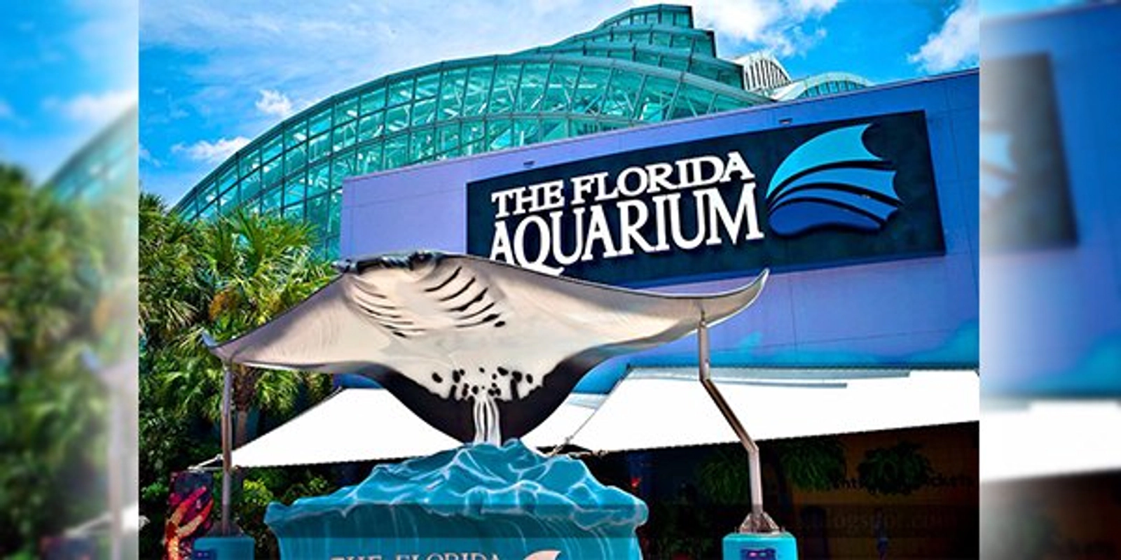 Florida Aquarium: Mother's Day - Thumbnail Image