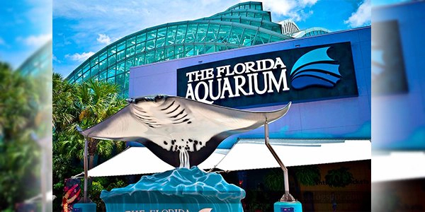 Florida Aquarium: Mother's Day - Thumbnail Image