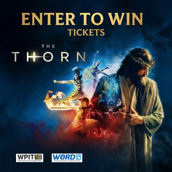 Experience John Bolin's The Thorn