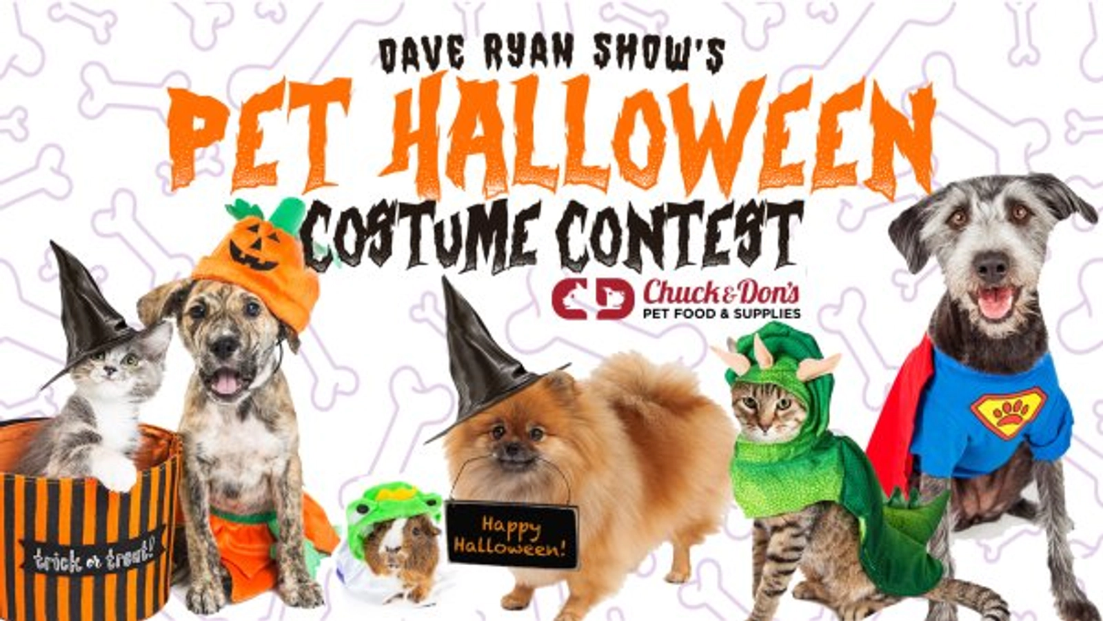 Pet Halloween Costume Contest - Thumbnail Image