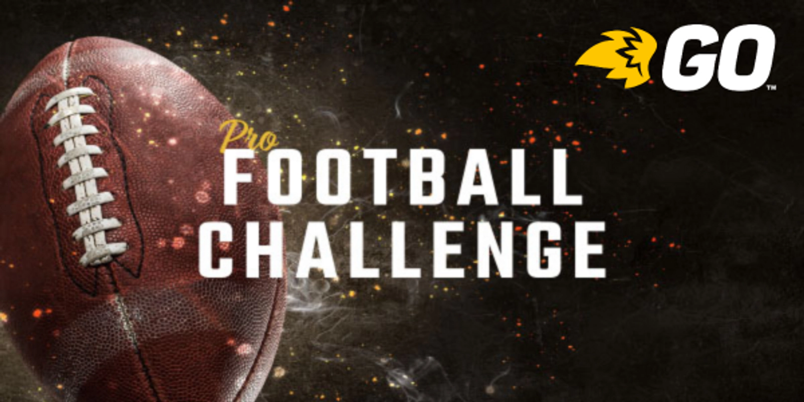 Pro Football Challenge 2025