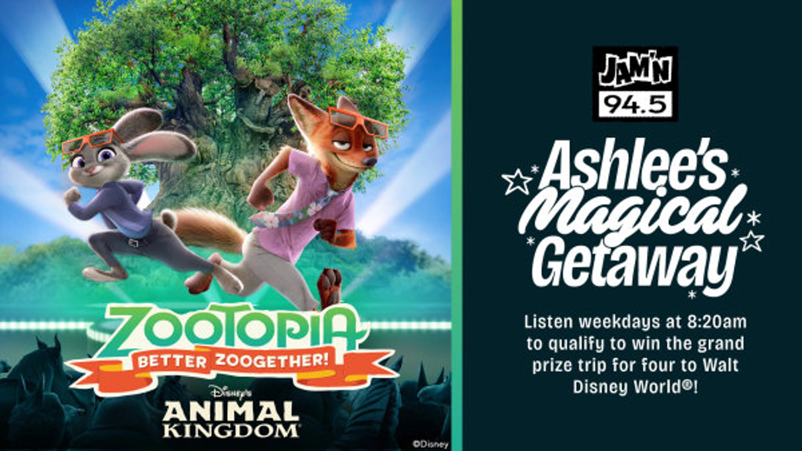 Ashlee's Magical Getaway