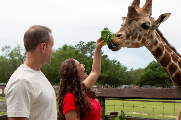 Win A 4-Pack Of Tickets To Wild Adventures Theme Park In Valdosta GA