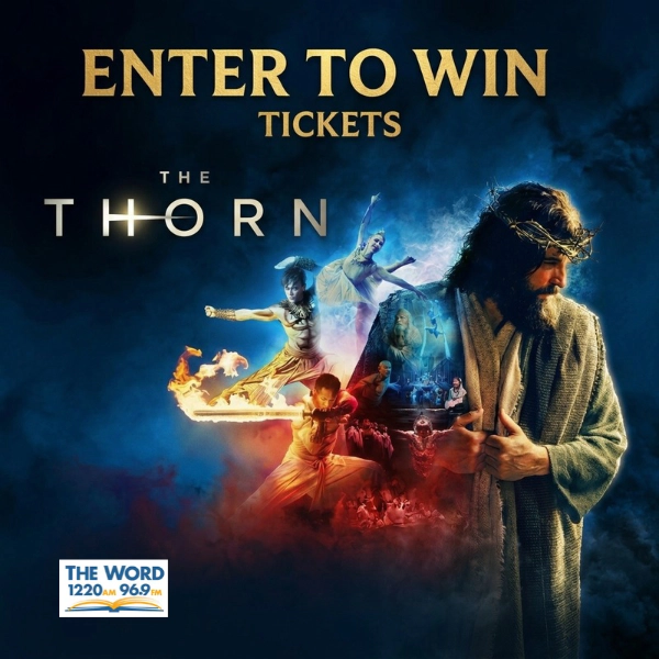 Experience John Bolin's The Thorn