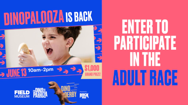 ENTER TO RUN IN THE DINO DERBY!