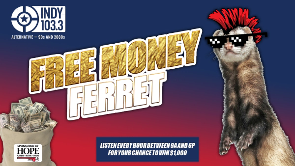 The Free Money Ferret