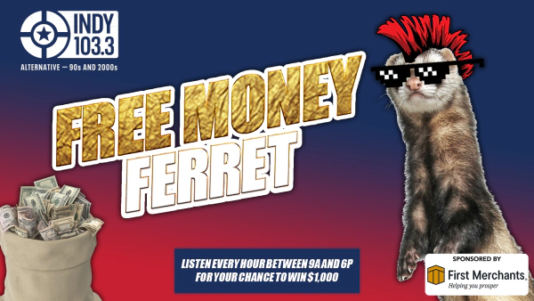 The Free Money Ferret