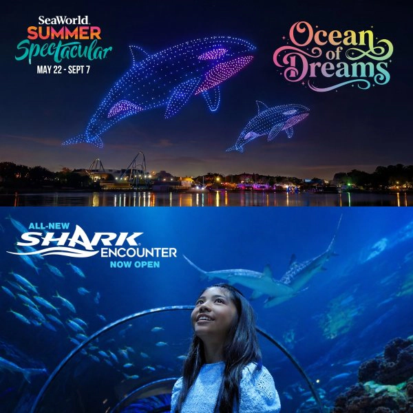 Listen to Jillian all this week for your chance to win 4 tickets to SeaWorld San Diego and a one night hotel stay at Paradise Point Resort & Spa