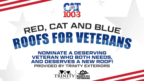 Red, Cat & Blue Roofs For Veterans