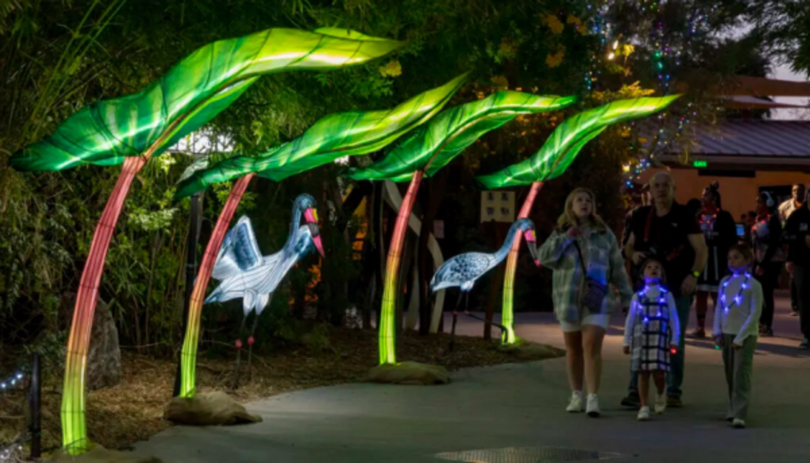 Zoolights Winning Weekend