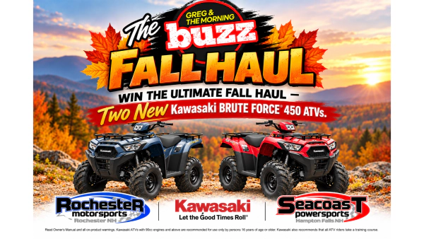 The BUZZ Fall Haul