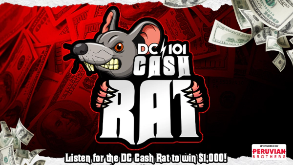 The DC Cash Rat