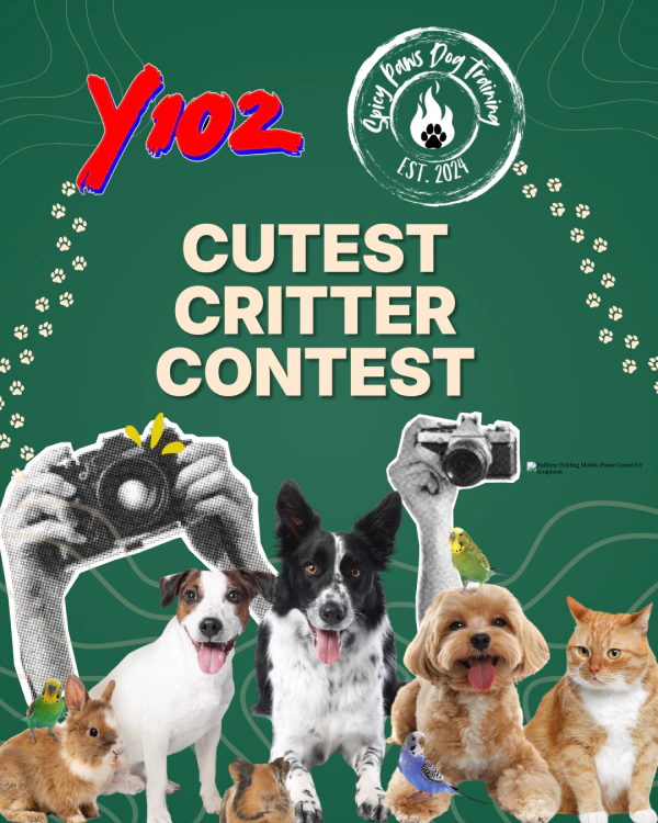 Y102's Cutest Critter Photo Contest-Submit Your Pet Photos!
