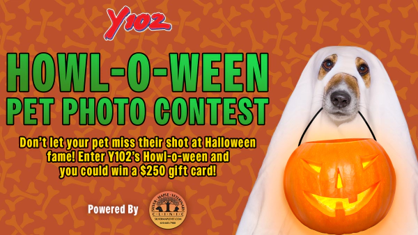 Y102's Howl-O-Ween Pet Photo Contest
