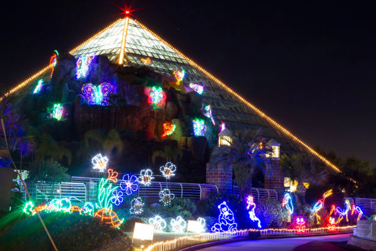 Win Moody Gardens Tickets Winter 2025