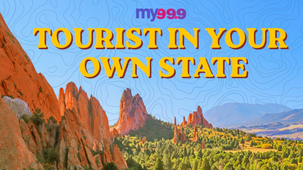 Tourist In Your Own State