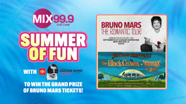 Summer of Fun
