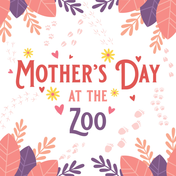 Win tickets to celebrate Mother's Day at the Zoo!