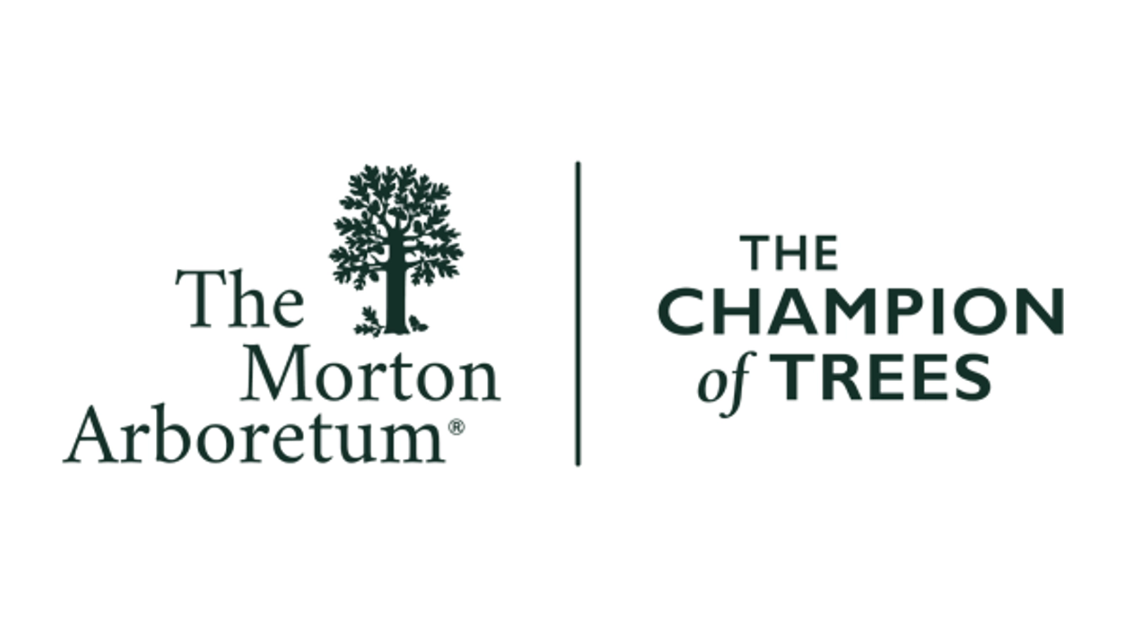 Enter for a chance to win passes to The Morton Arboretum