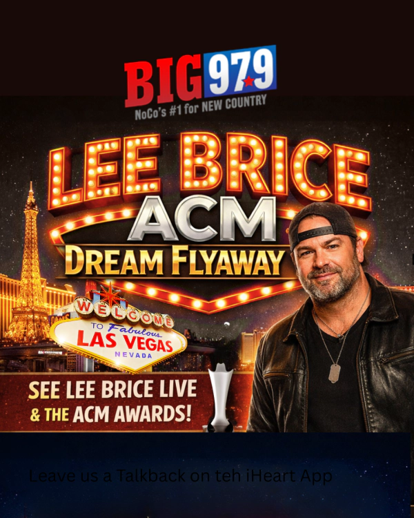Lee Brice ACM Dream Flyaway