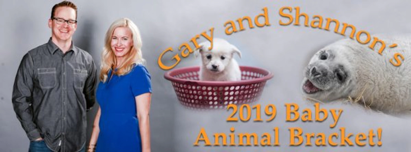 Gary and Shannon's Baby Animal Bracket - Thumbnail Image