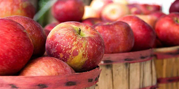 Take Our - All About Apples - Quiz!