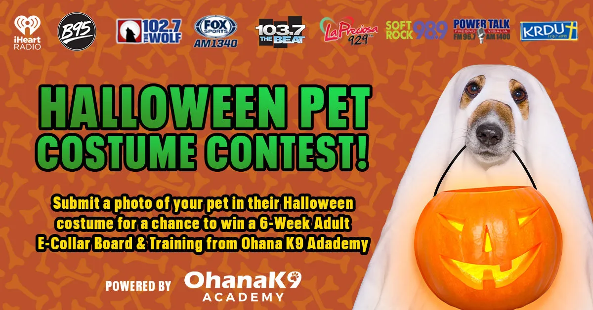 WTZQ Halloween Pet Costume Contest to Benefit Blue Ridge Humane