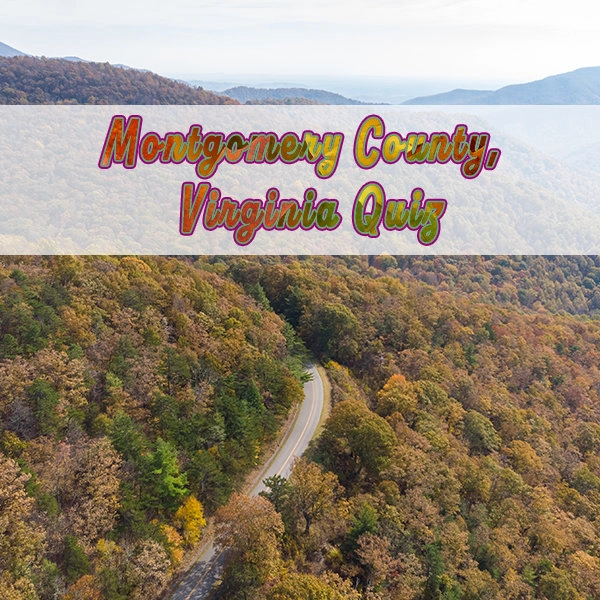 Montgomery County Virginia Quiz